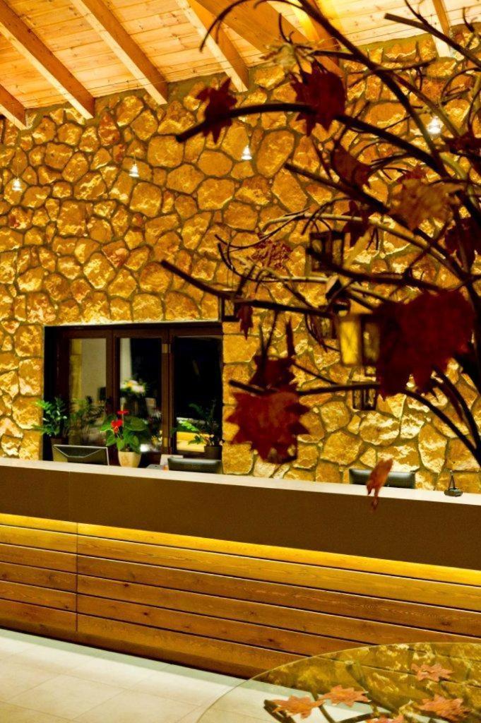 Pliadon Gi Mountain Resort & Spa Kato Sinikia Trikalon Екстер'єр фото